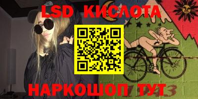 шишки Шелехов