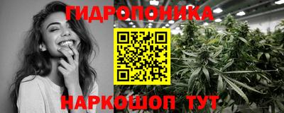 шишки Шелехов