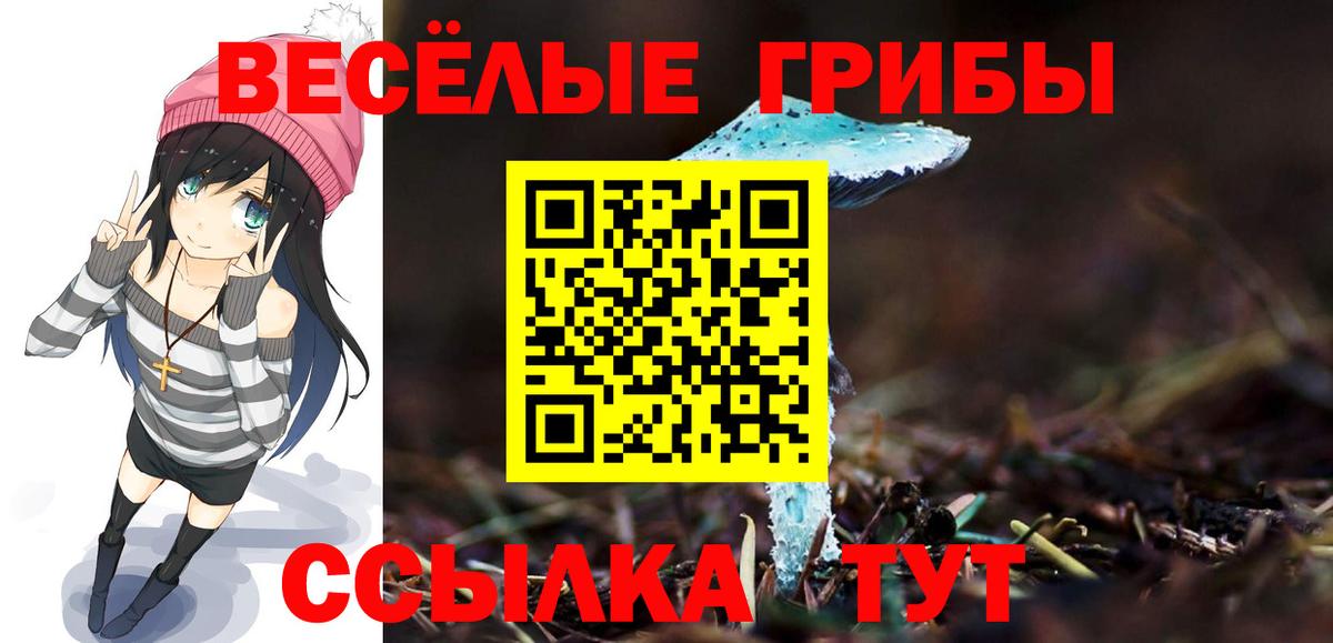 Галлюциногенные грибы MAGIC MUSHROOMS  Вход с VPN  наркота  Лесосибирск 