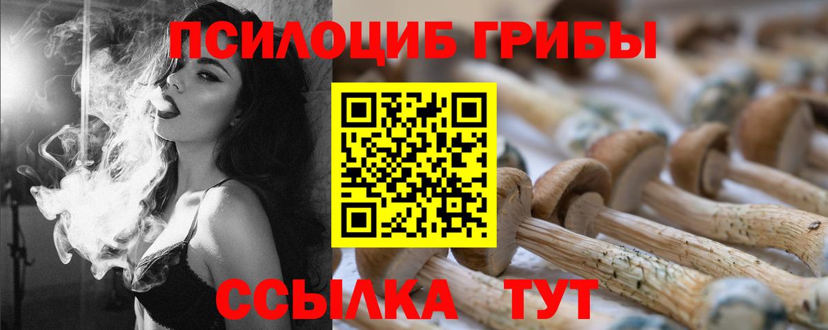 Псилоцибиновые грибы Psilocybe Лесосибирск